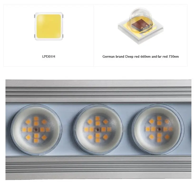 Lampu tanaman LED strip spektr - Led Strip Lights ulasan dan harga